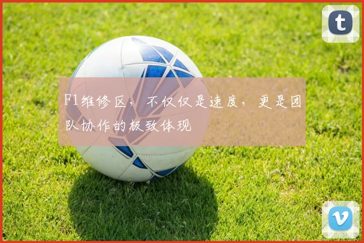 F1维修区,不仅仅是速度,更是团队协作的极致体现